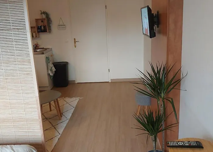 West Bordeaux Lejlighed *